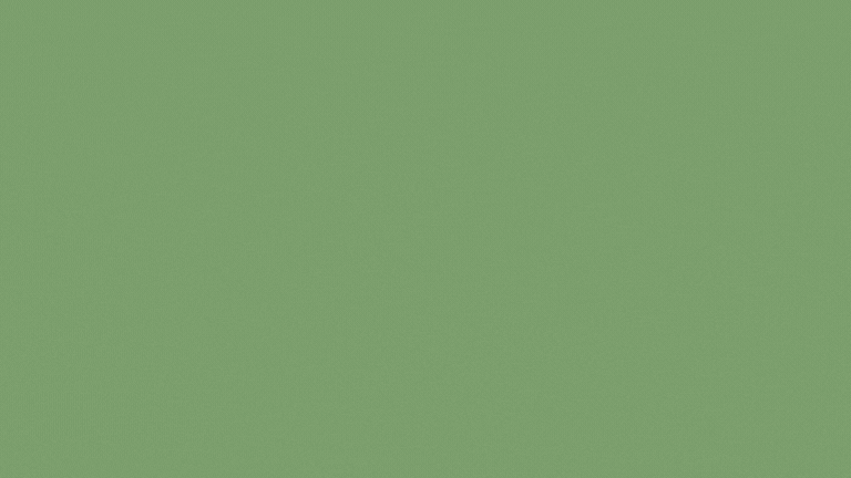 Image alt text